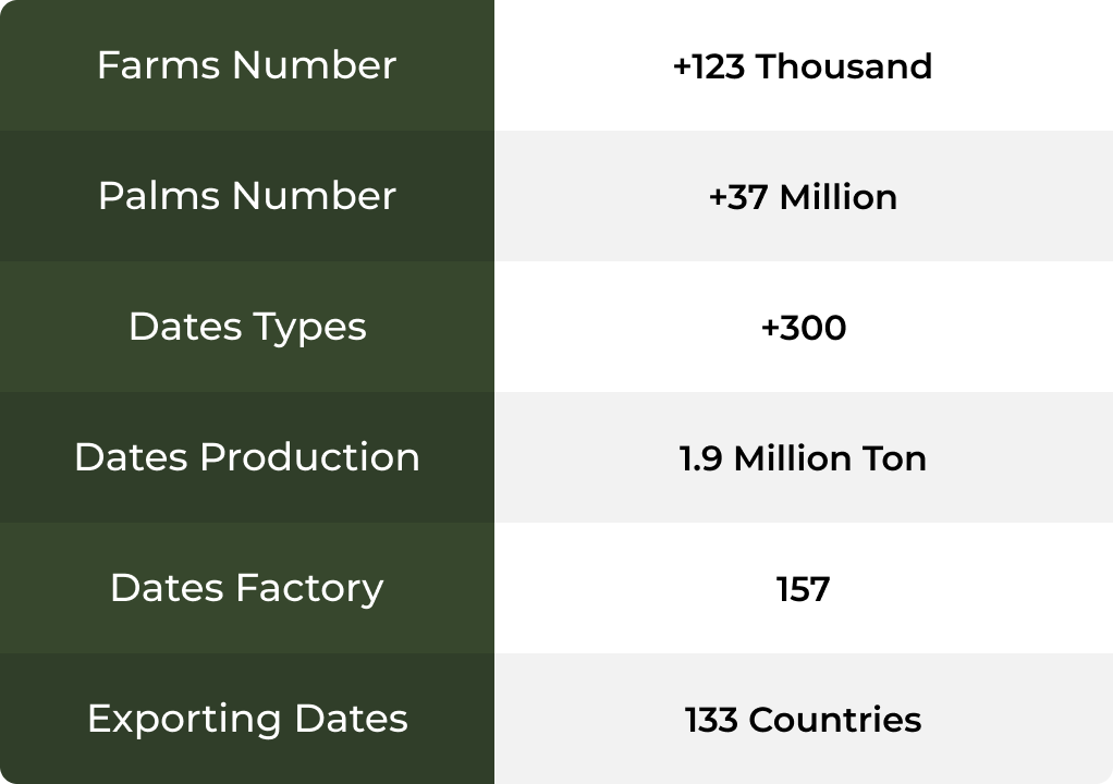 Palms and Dates Sector Local