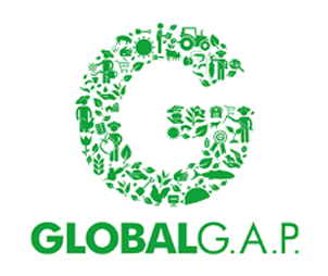 Global Gap