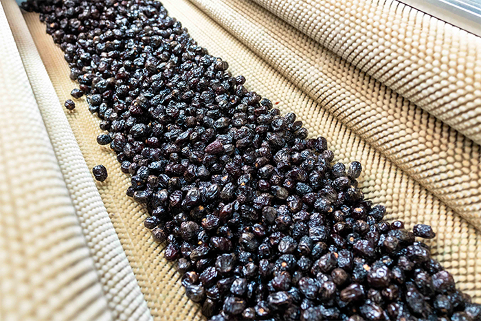 <span>Syab</span>

